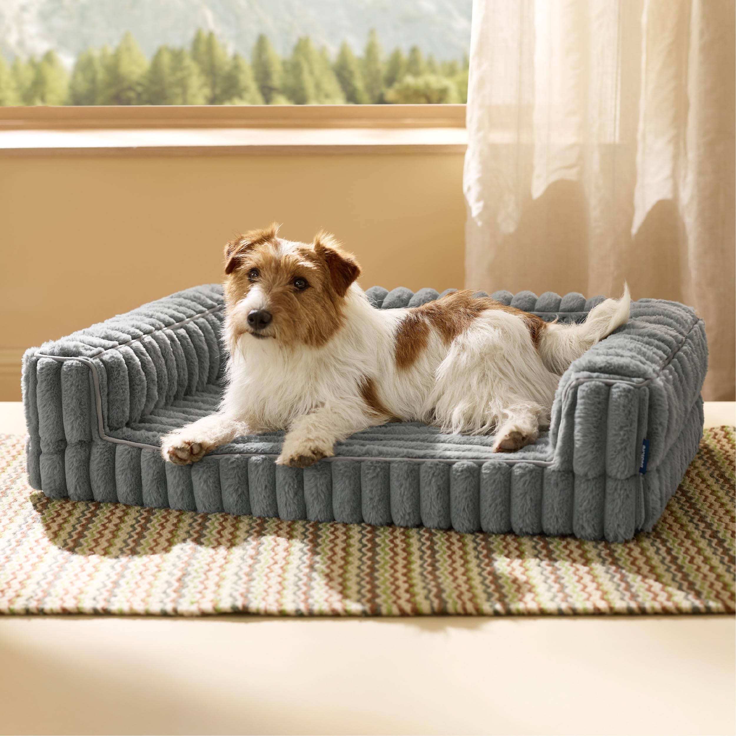 Bedsure orthopedic dog bed top view shows compact medium size for daily lounging