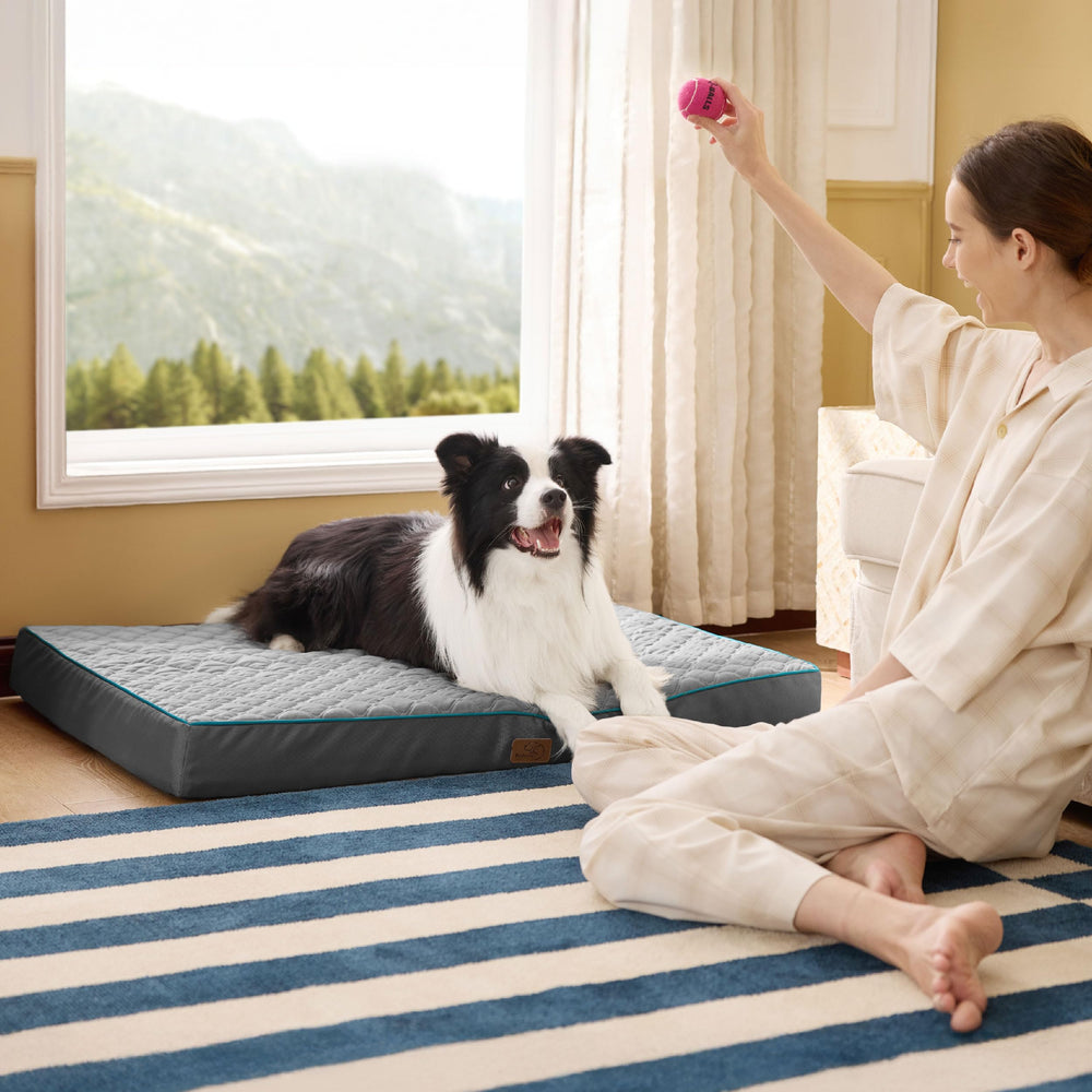 Bedsure removable cover simplifies cleaning and maintenance