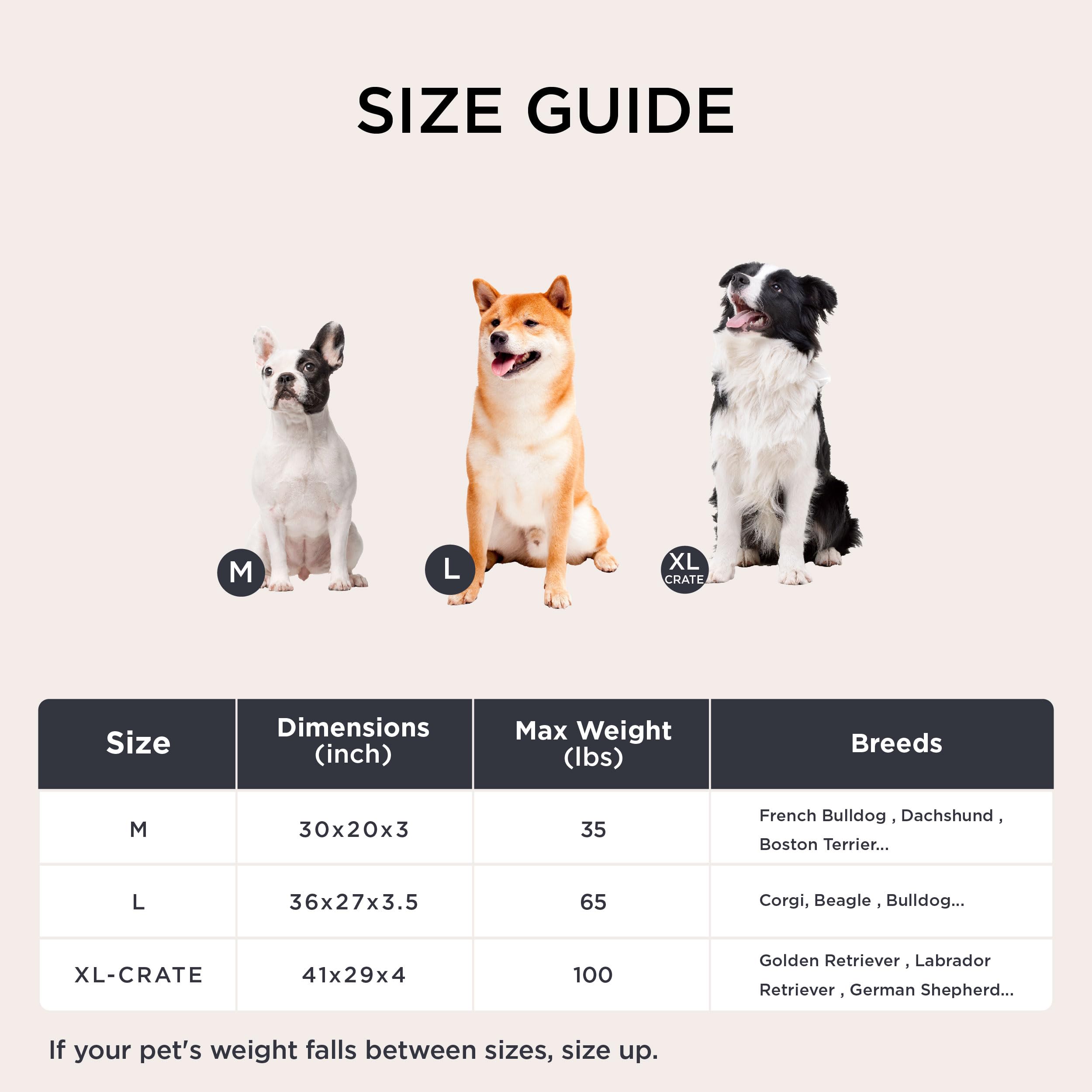 Bedsure orthopedic dog bed shows simple setup and durable design for homes
