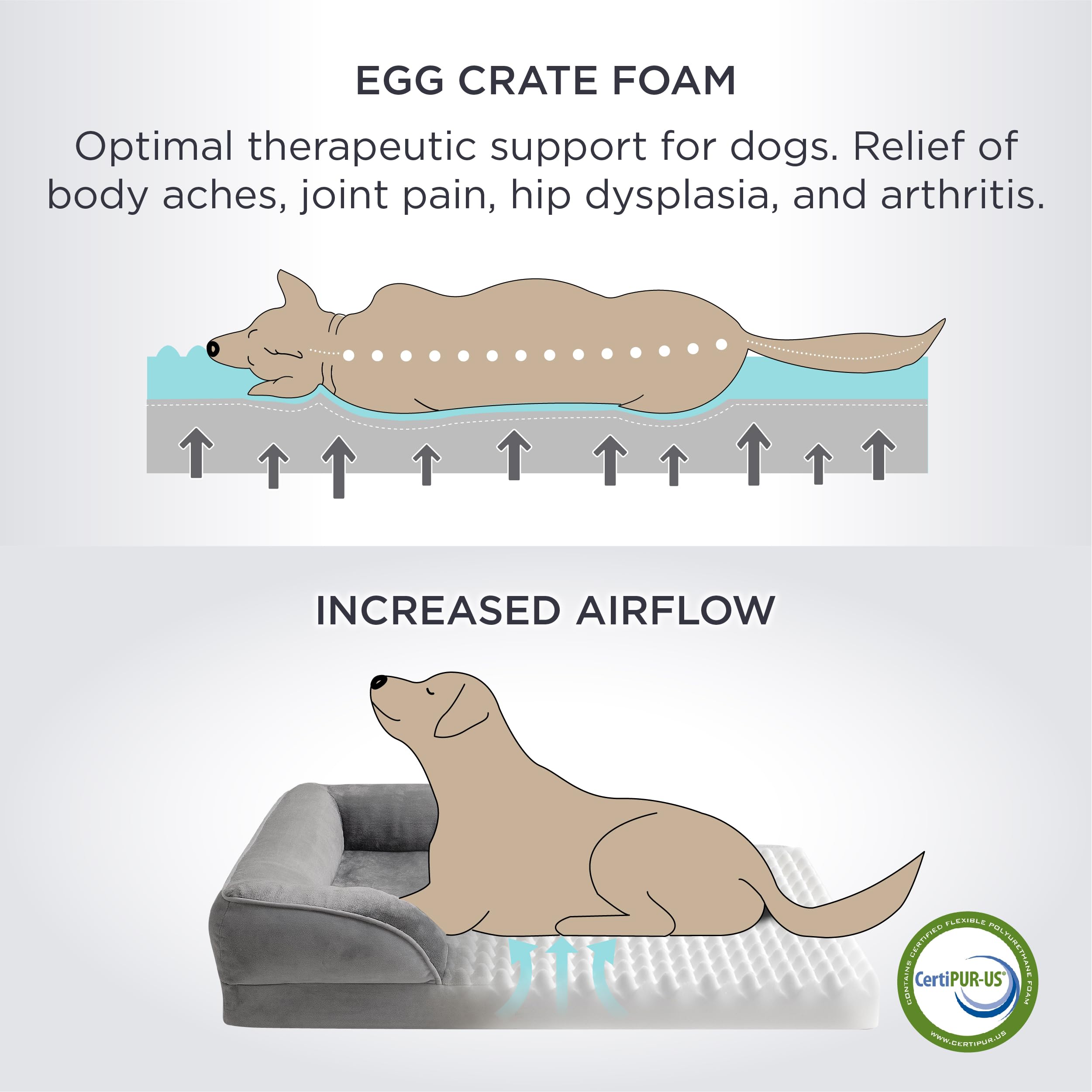 Bedsure lowered entrance demonstrates easy accessibility for aging pets