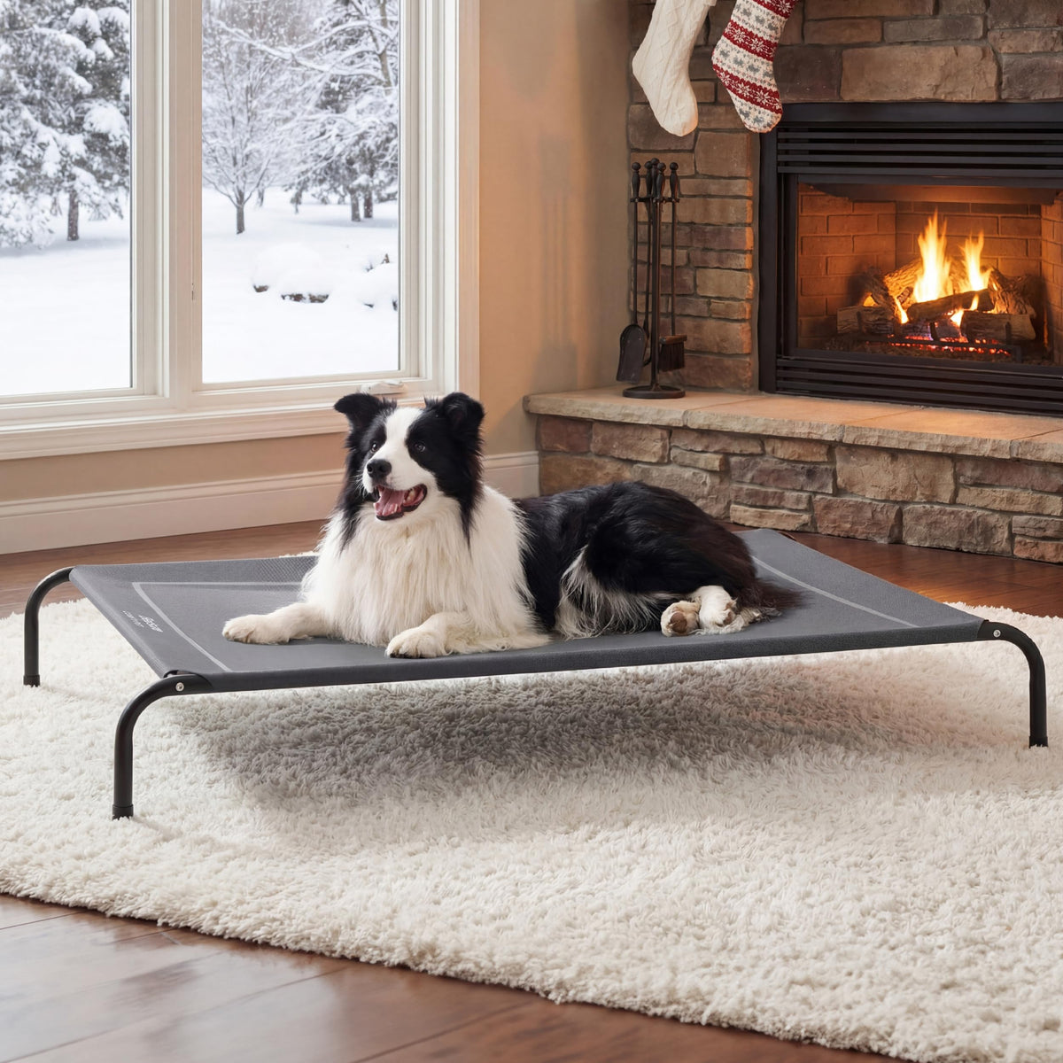 Bedsure outdoor elevated dog bed shows a 49-inch frame for spacious lounging