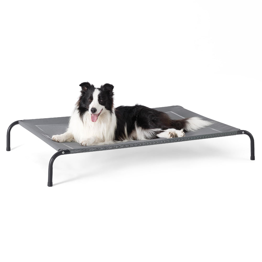 Bedsure outdoor elevated dog bed cleaning ready with hose