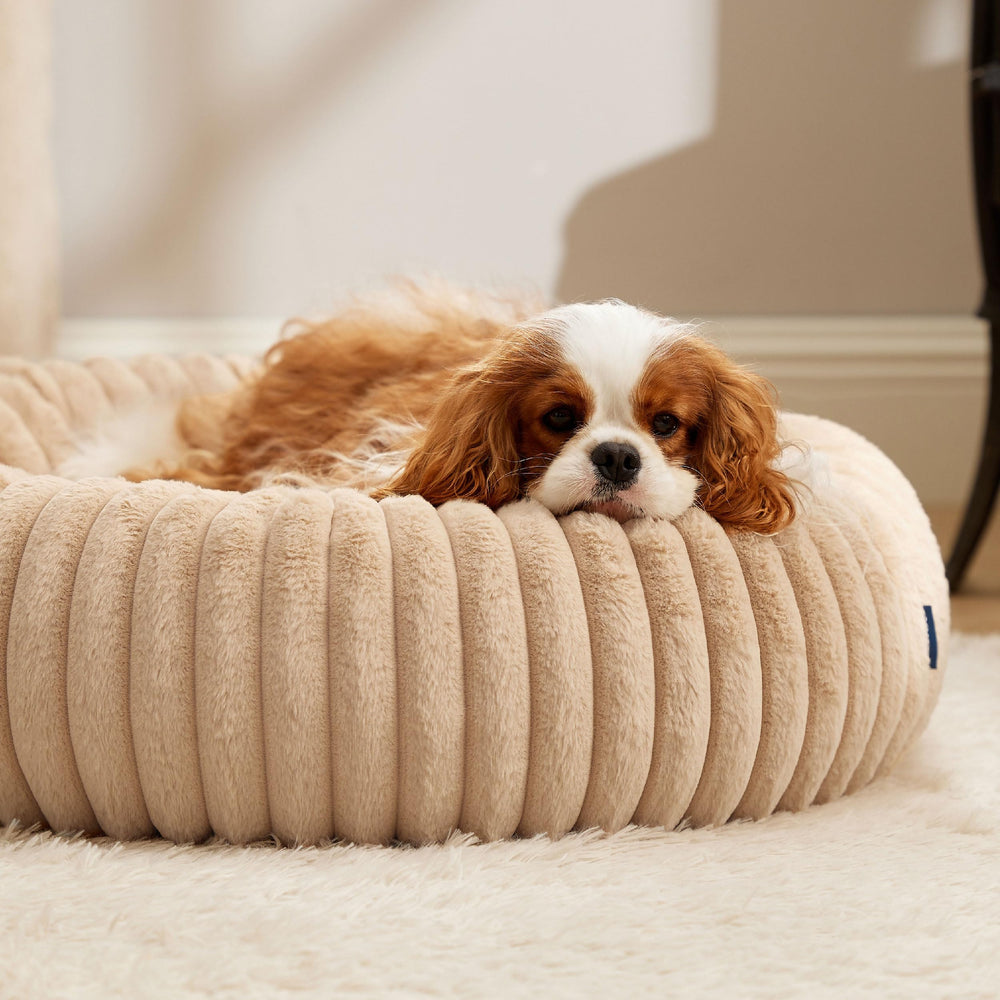 Bedsure sandy beige bed blends with home decor and warm tones.