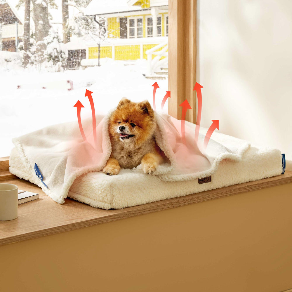 Bedsure self-warming blanket pets-use small-dogs-cats on couch.