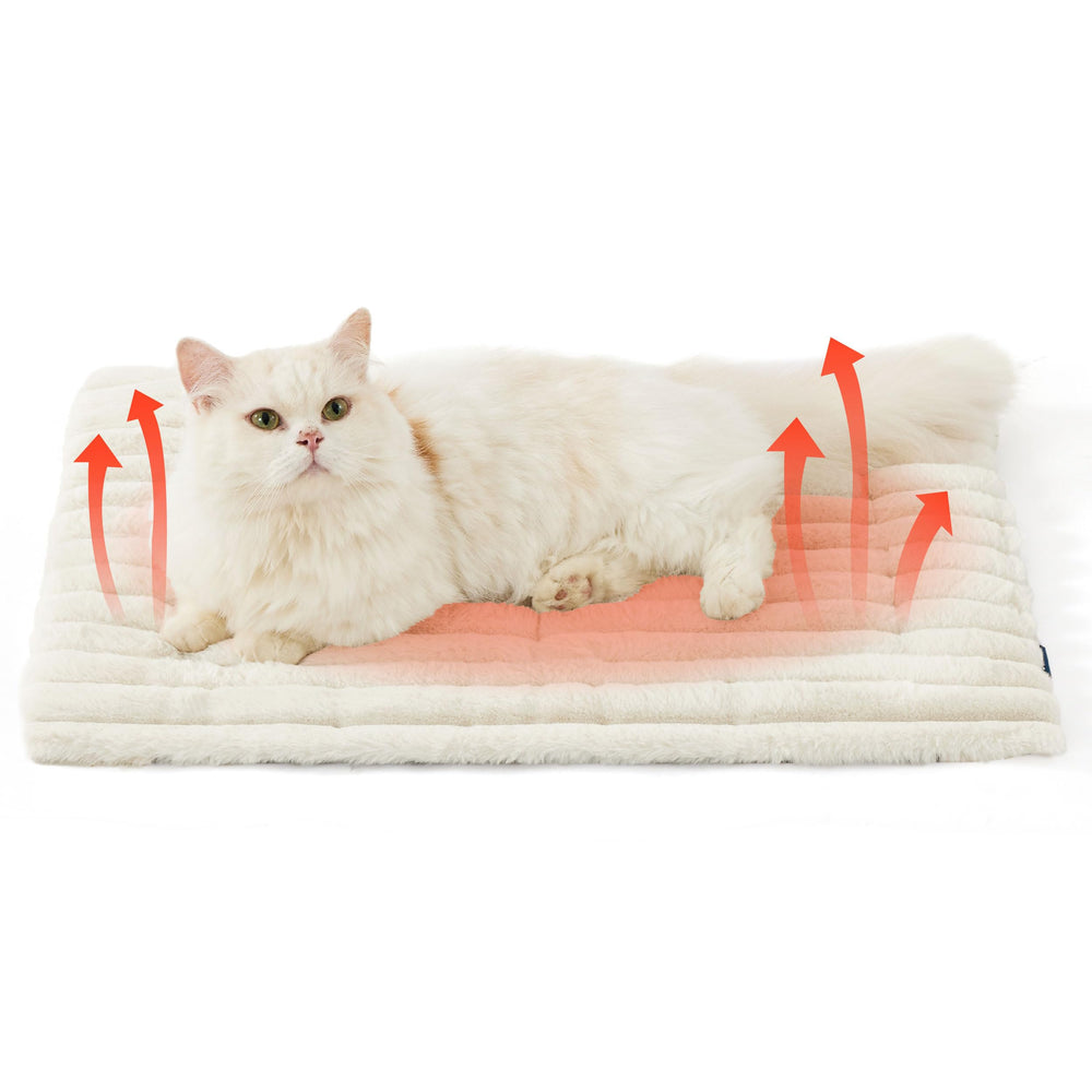 Bedsure self-warming cat bed close-up shows plush fabric for cozy naps