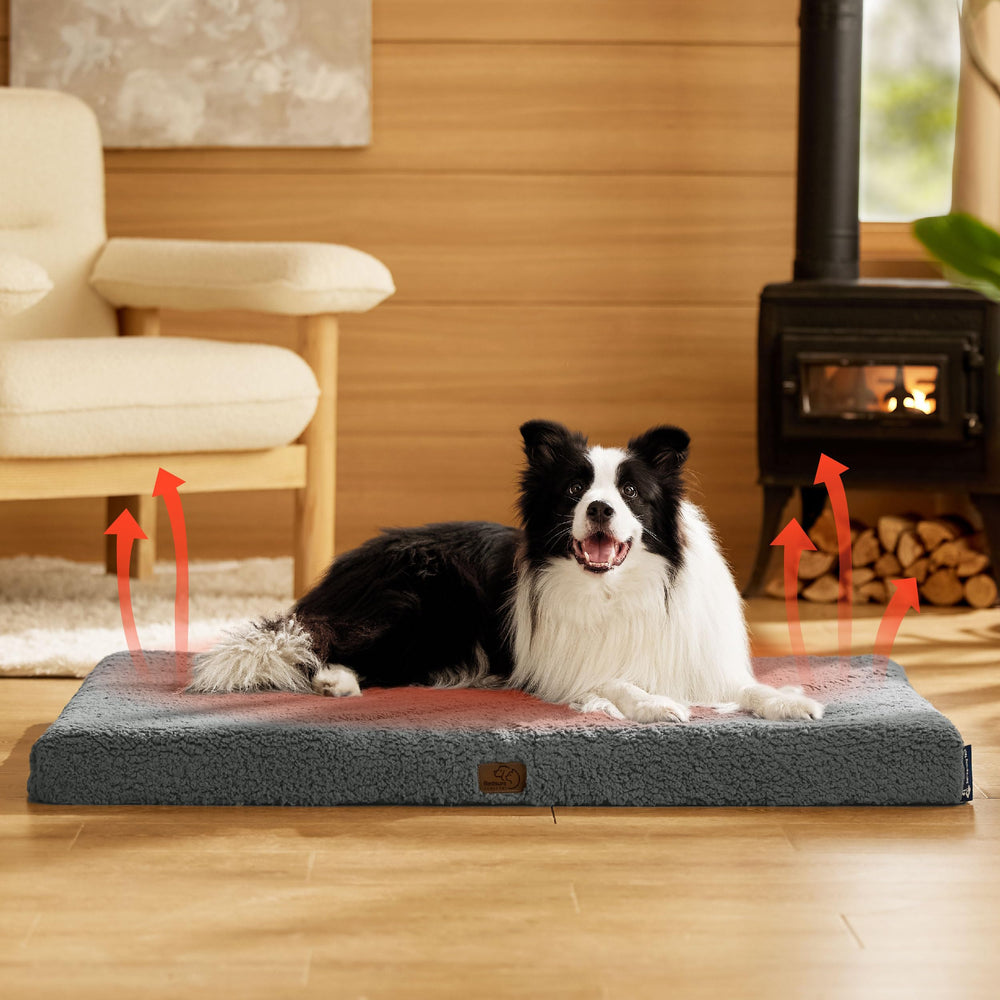 Bedsure Self-Warming Dog Bed in use shows cozy warmth and support