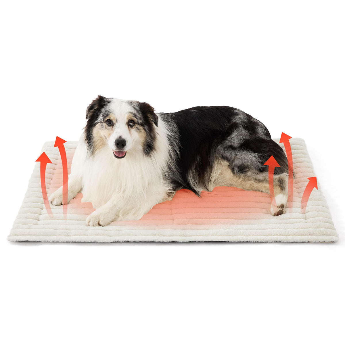 Bedsure self-warming dog bed exterior view highlighting cozy white fabric