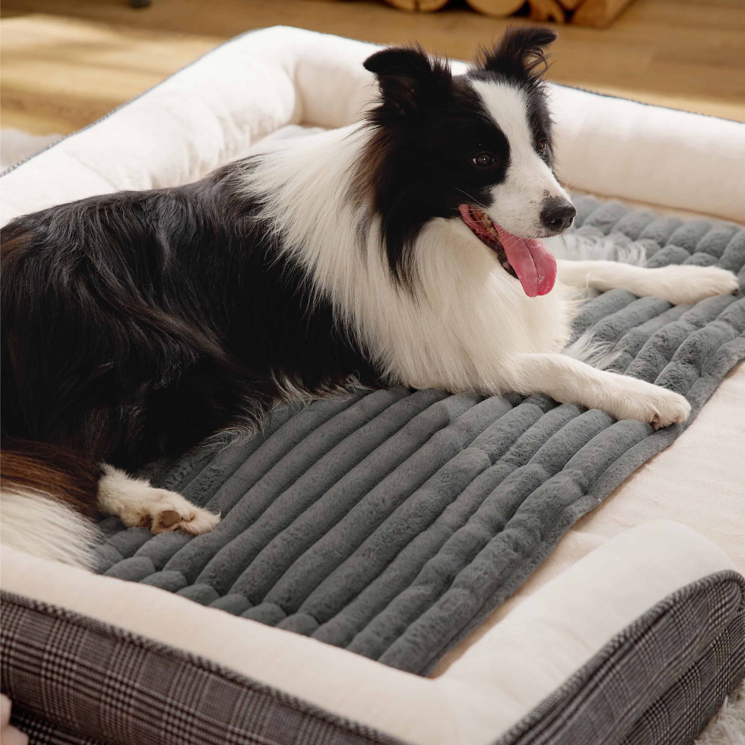 Bedsure self-warming dog bed nap scene inviting your dog to relax.