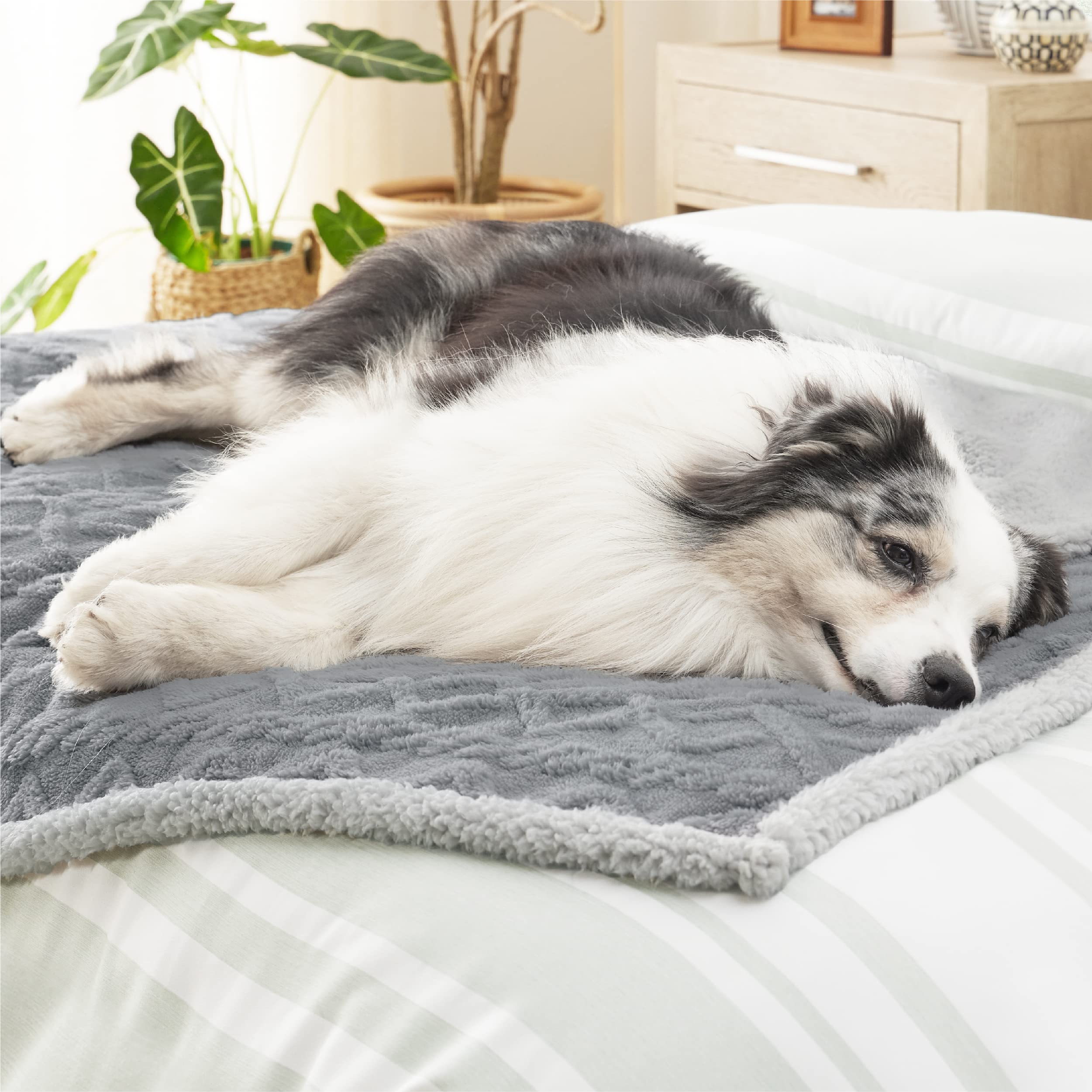Bedsure sherpa side provides cozy warmth for pets on cool days.
