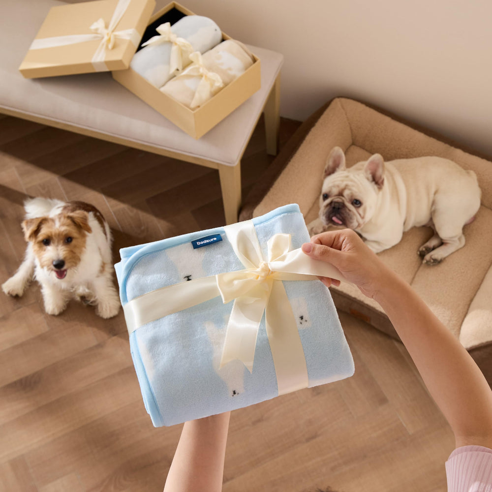 Bedsure small 23x16 blanket fits pet carrier or bed.