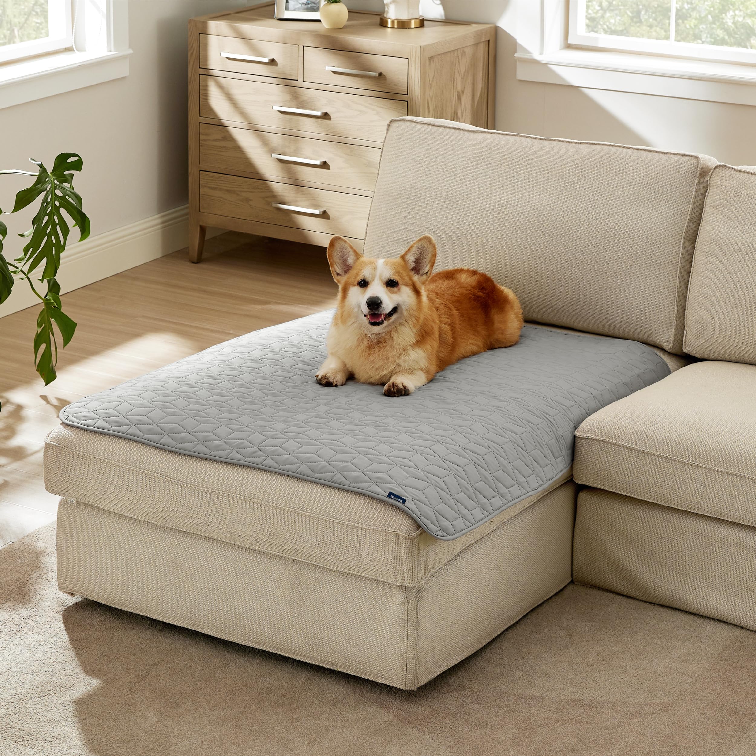 Bedsure 40x50in fit provides broad coverage on standard couches