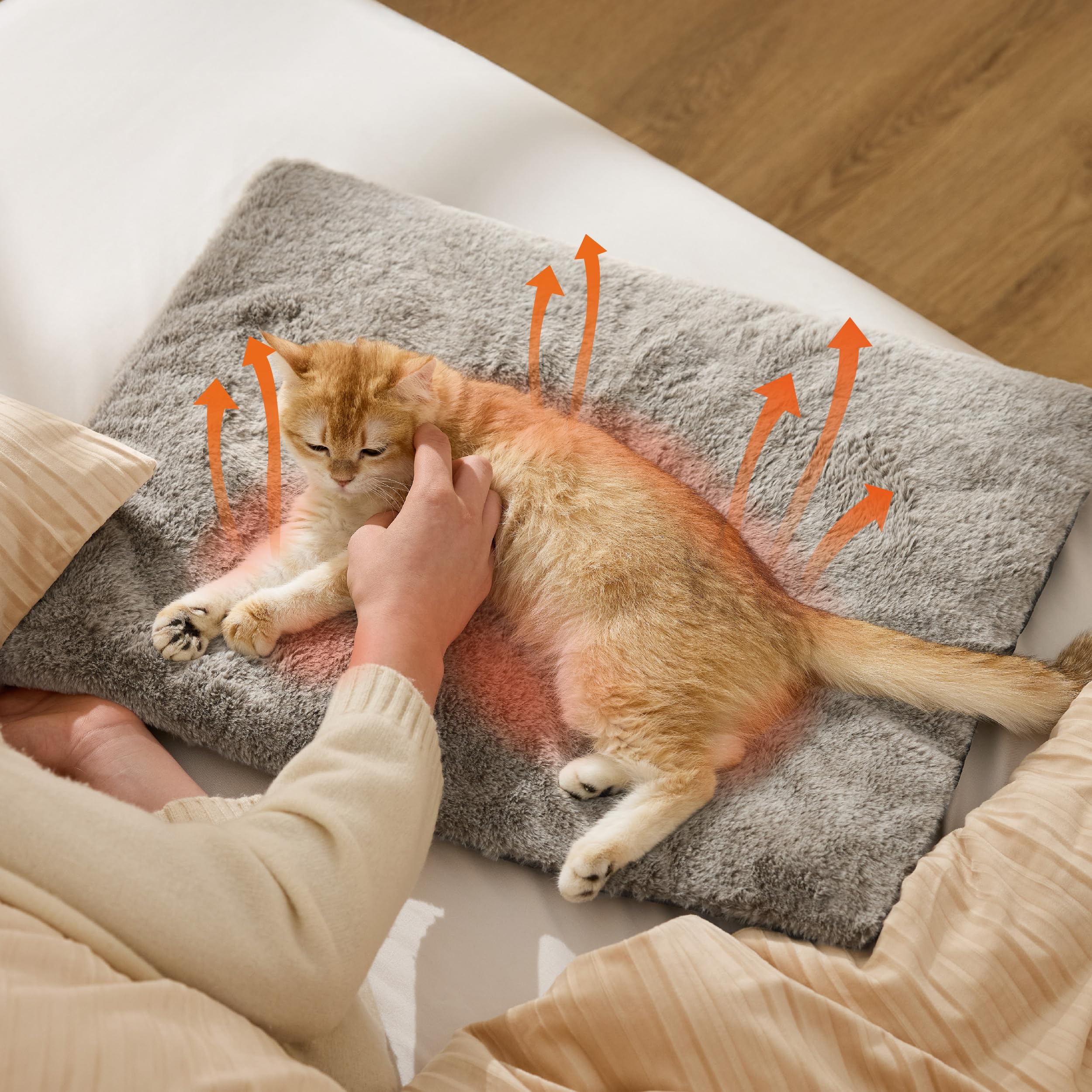 Bedsure two-sizes cat and small dog pad supports versatile use