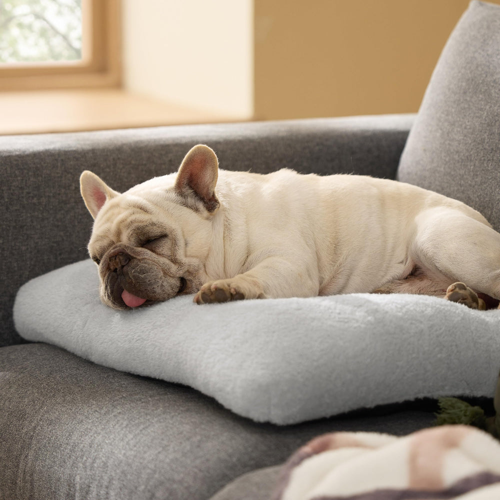 Bedsure washable dog bed fabric close-up highlights cozy grey material.