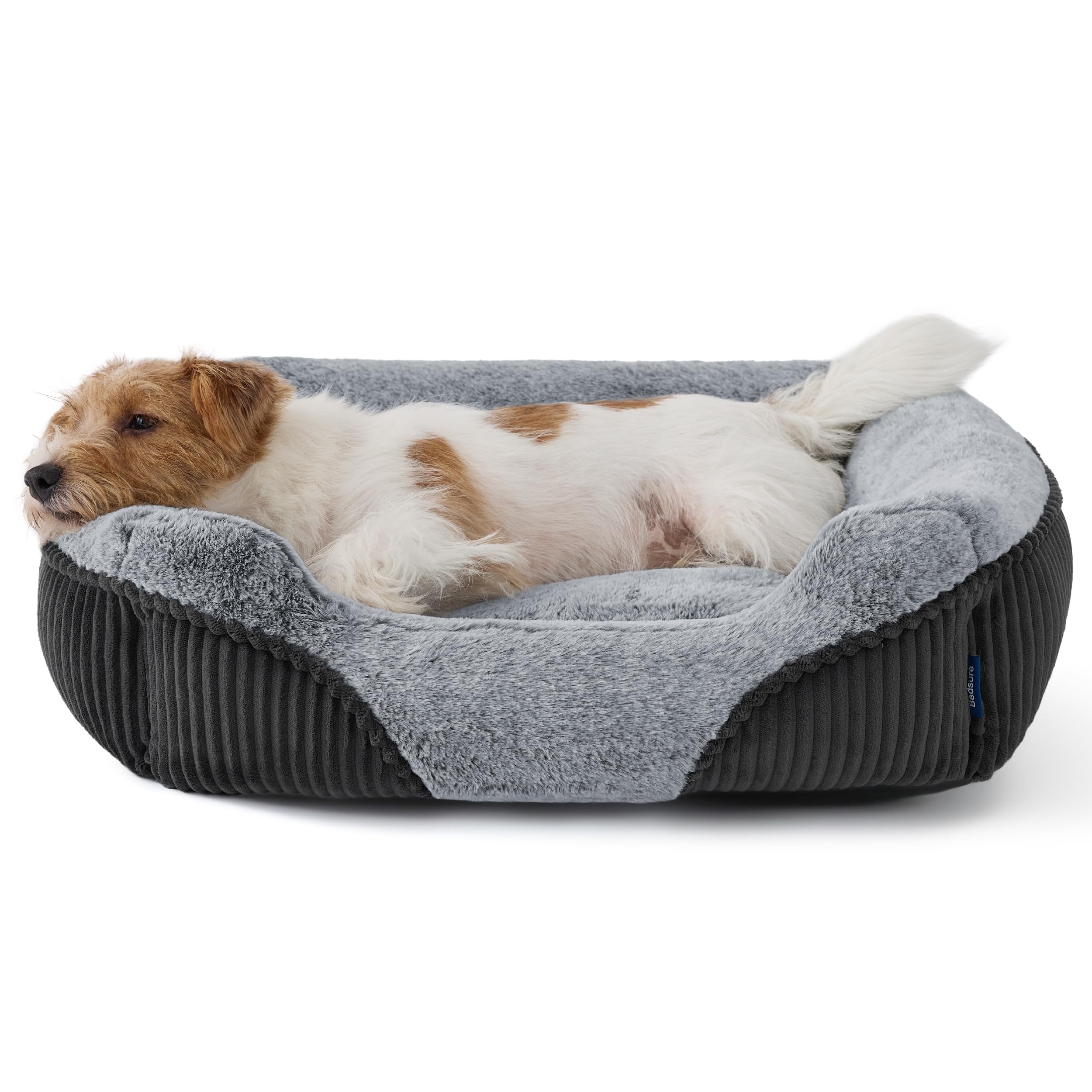 Bedsure washable dog bed rectangle dog on bed illustrates cozy rest up to 20lbs.