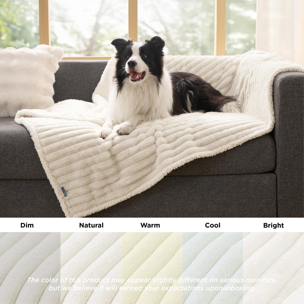 Bedsure washable dog blanket staying fresh after muddy paws and rainy outings.