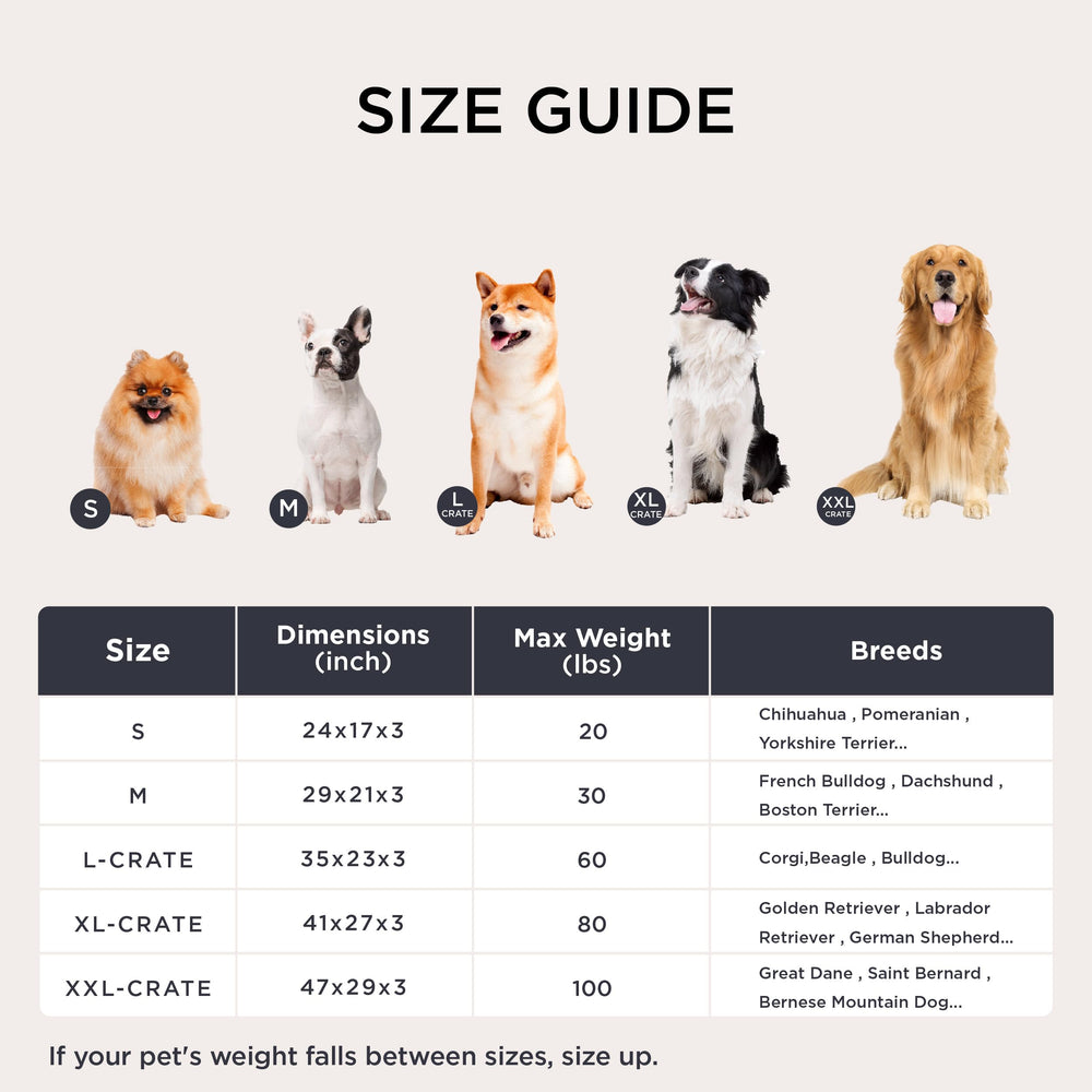 Bedsure XXL dog bed used as a standalone cozy mat