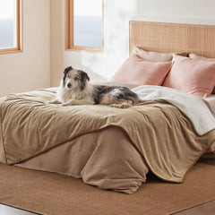 Bedsure waterproof blanket bed sherpa side shows cozy warmth for pets on chilly nights