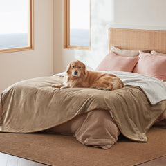 Bedsure waterproof blanket sherpa-side for warm comfort and furniture protection