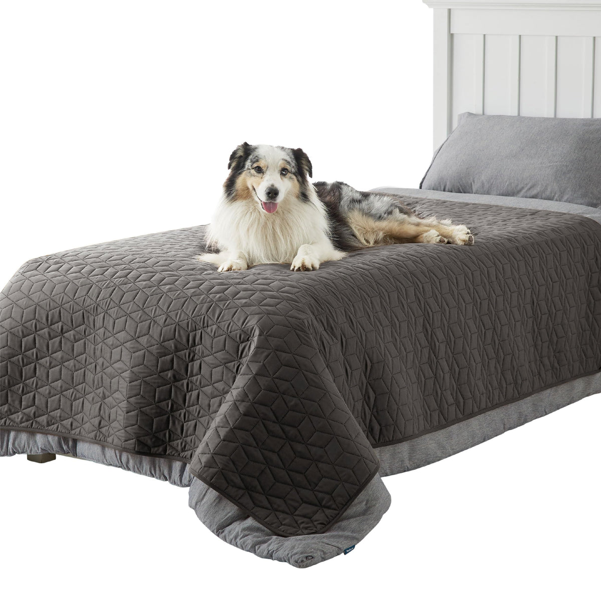 Bedsure waterproof couch cover on dark-grey sofa protects against spills.