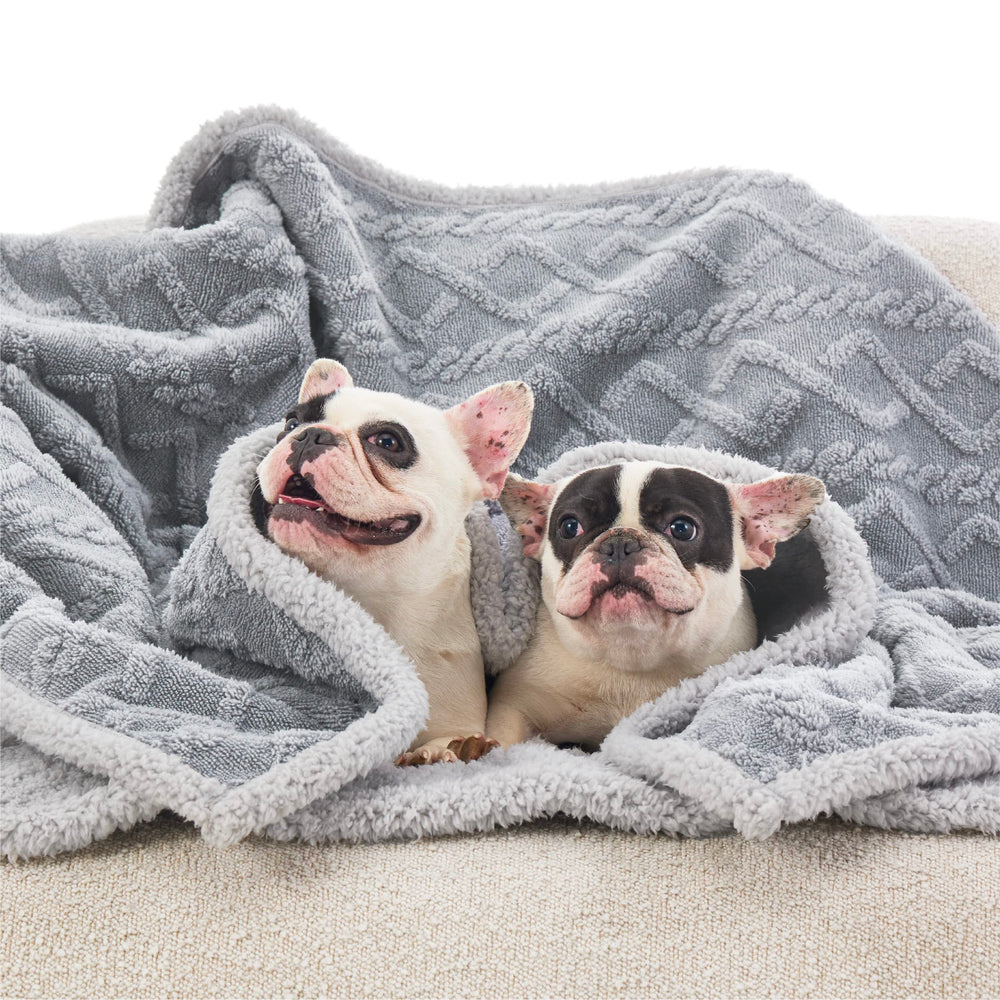Bedsure travel-friendly design supports trips, cars, and camping with pets.