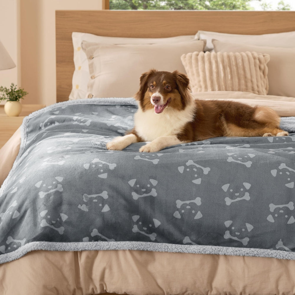 Bedsure blanket 50x60 size fits large dogs comfortably.