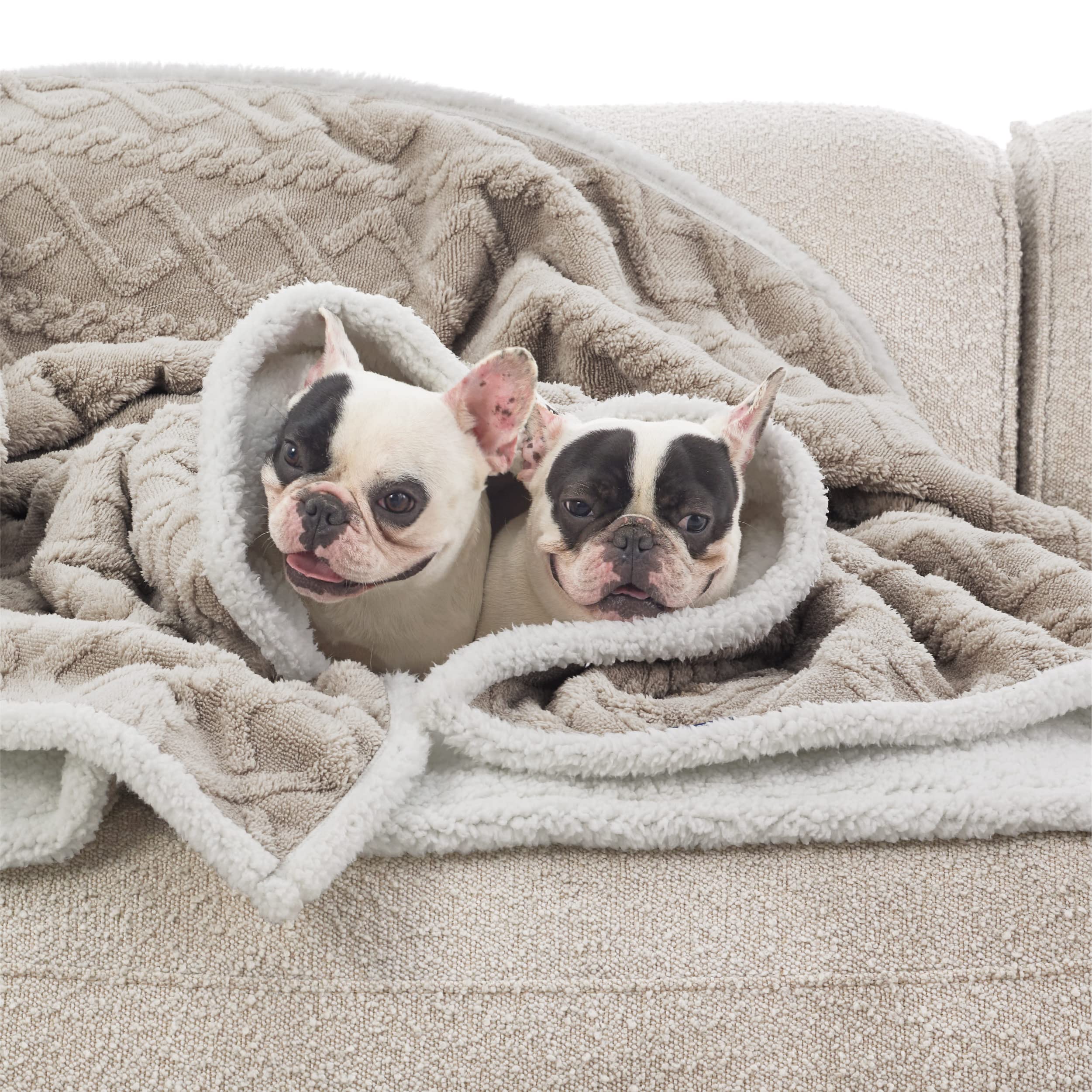 Bedsure 50x60 blanket in pale oak suits large dogs.