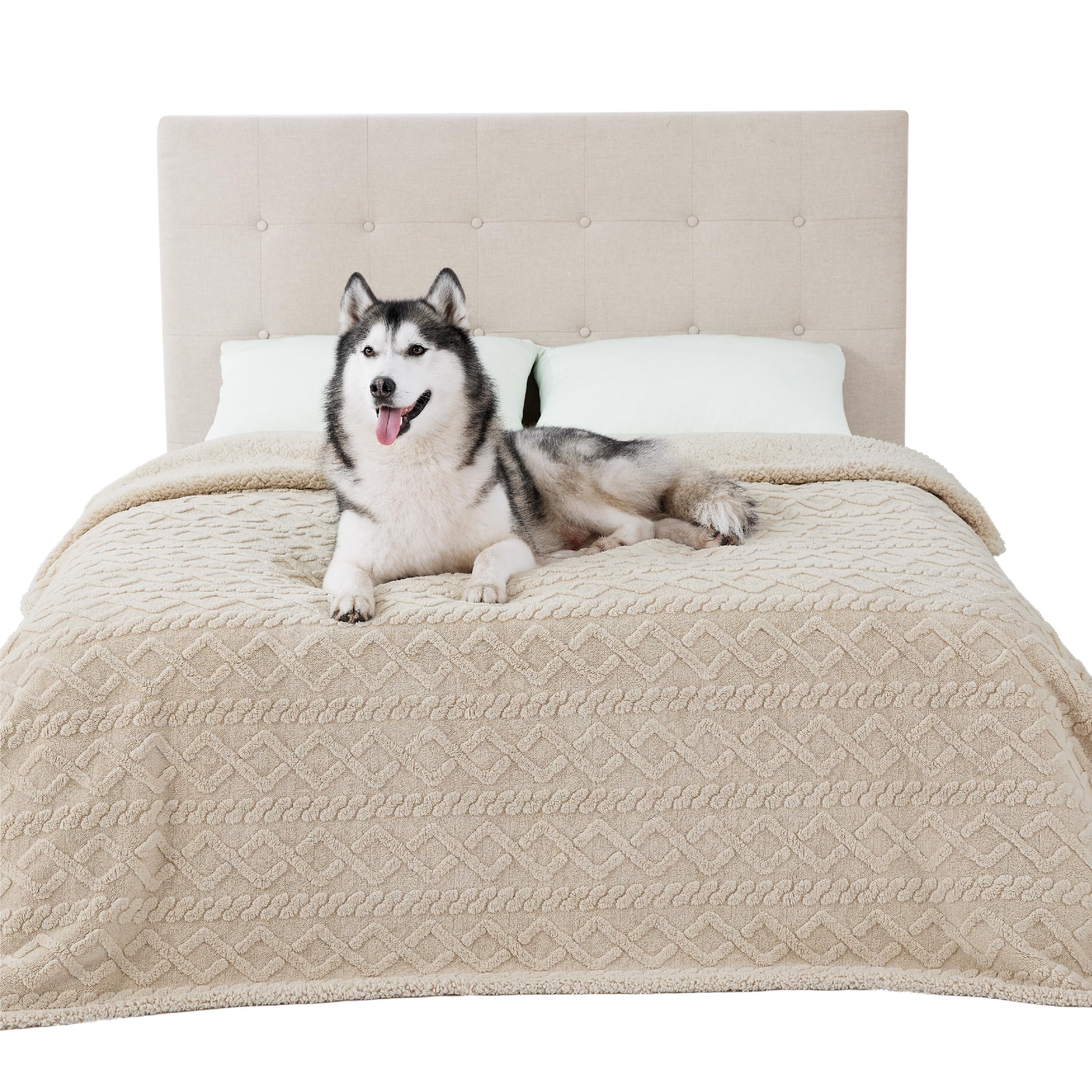 Bedsure waterproof dog blanket bed protector guards furniture against accidents.