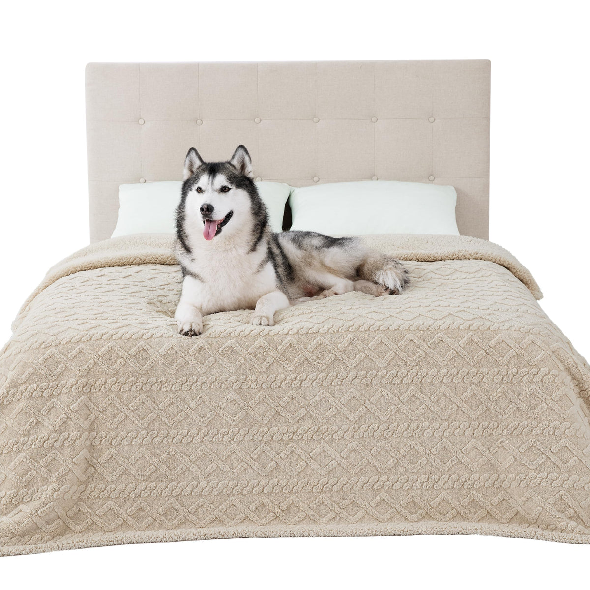 Bedsure waterproof dog blanket bed protector guards furniture against accidents.