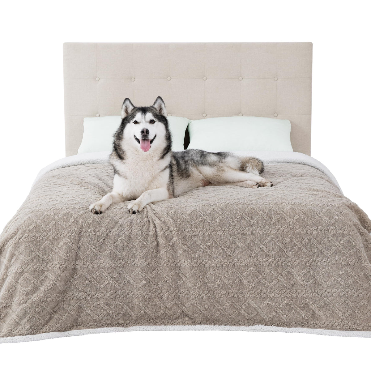 Bedsure waterproof dog blanket bed waterproof layer keeps furniture dry and protected