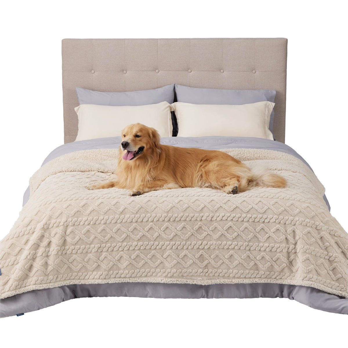 Bedsure waterproof dog blanket on bed protects furniture during pet naps.
