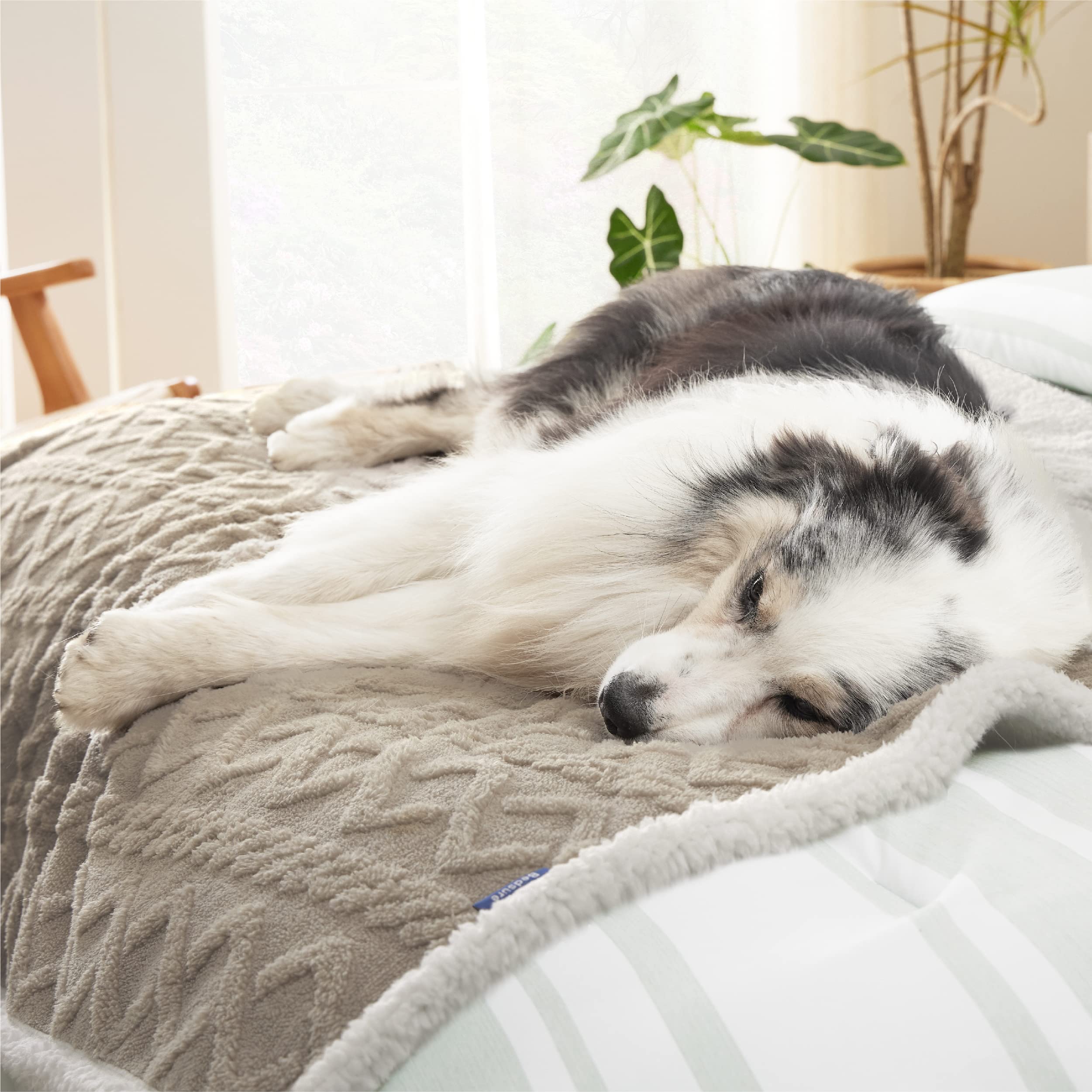 Bedsure blanket protects couch from chewing, shedding, and dirt.