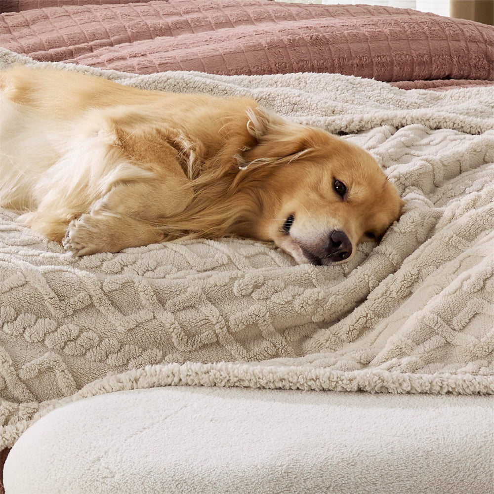 Bedsure washable blanket demonstrates cold-water machine wash for simple cleanup
