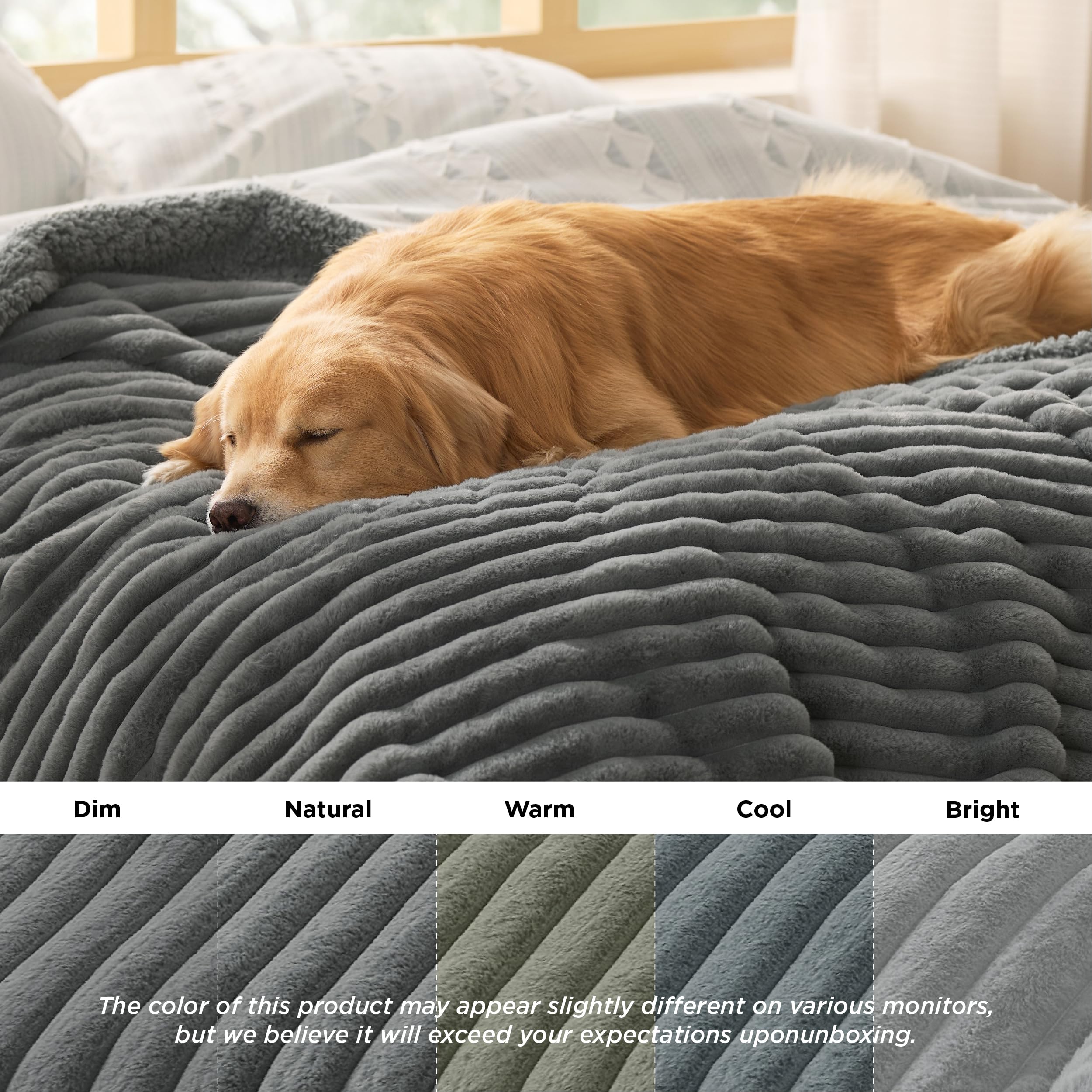 Bedsure furniture-protection shot shows shielded sofa from fur and spills