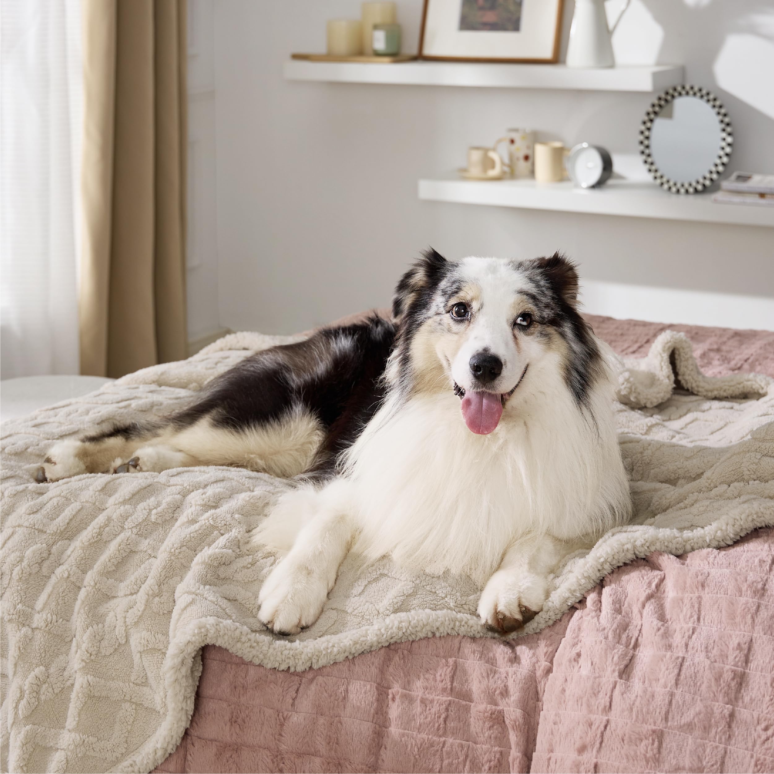 Bedsure waterproof dog blanket large cream showing waterproof lining protecting furniture