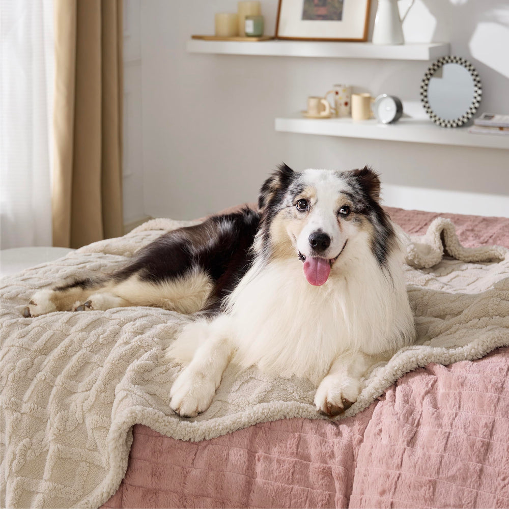 Bedsure waterproof dog blanket large cream showing waterproof lining protecting furniture
