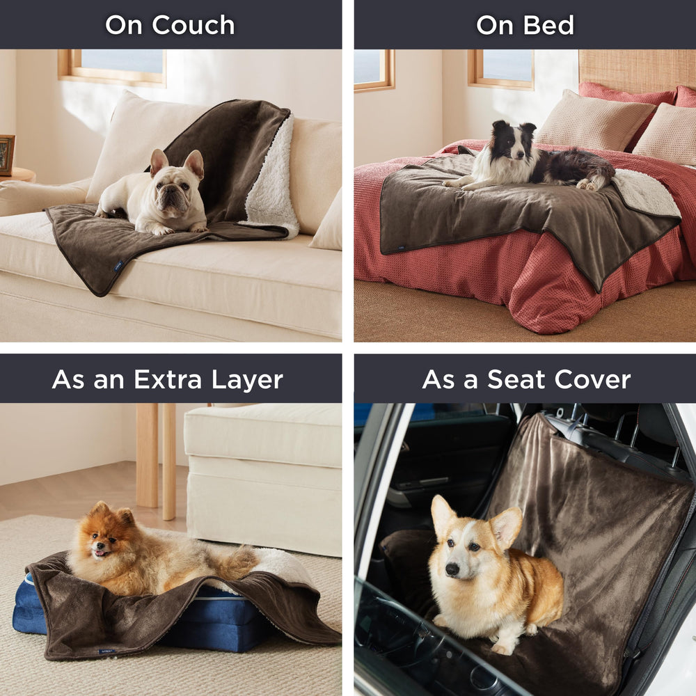 Bedsure waterproof dog blanket reversible textures highlight two cozy options for mood and decor.