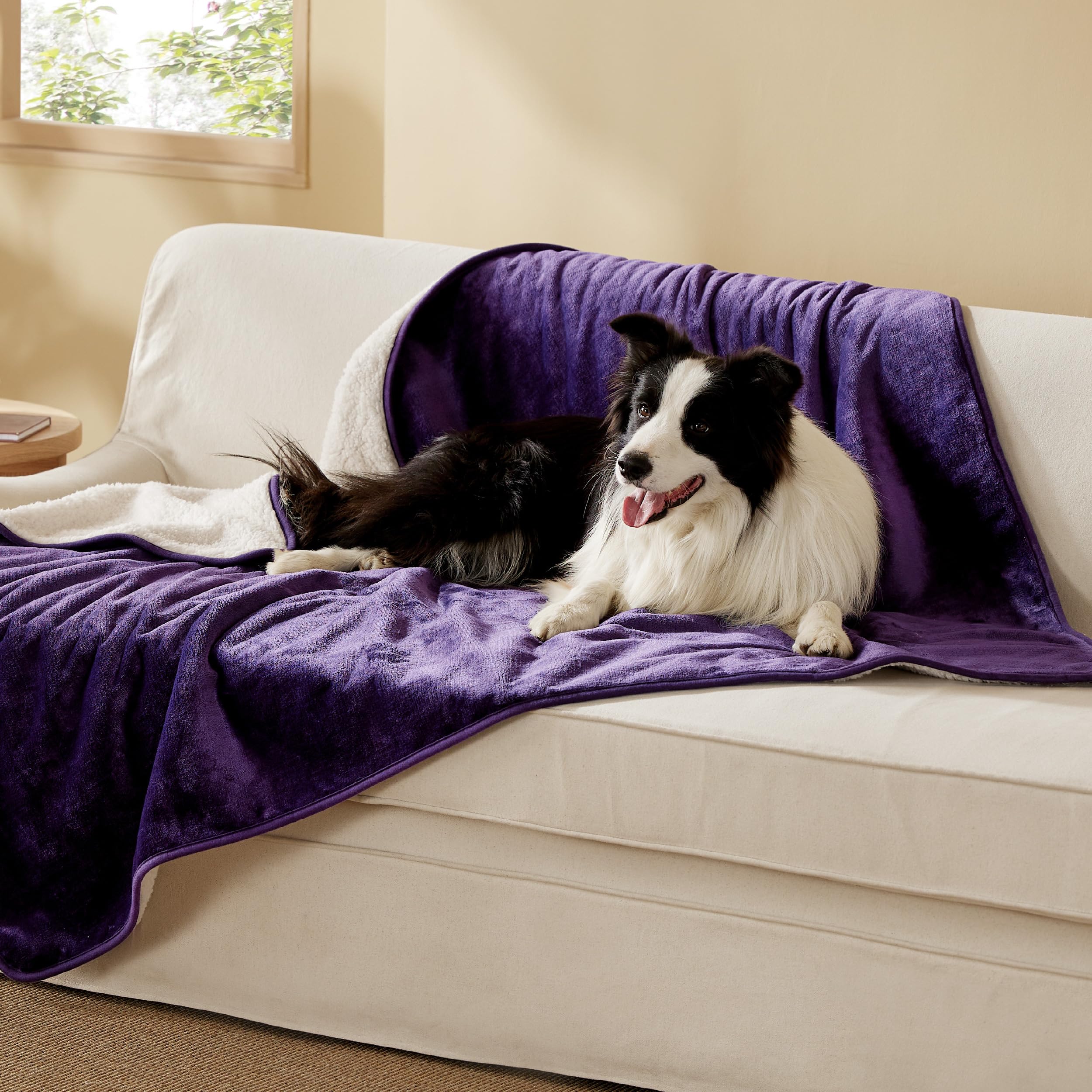 Bedsure waterproof dog blanket with Sherpa on eggplant side for cozy warmth and couch protection