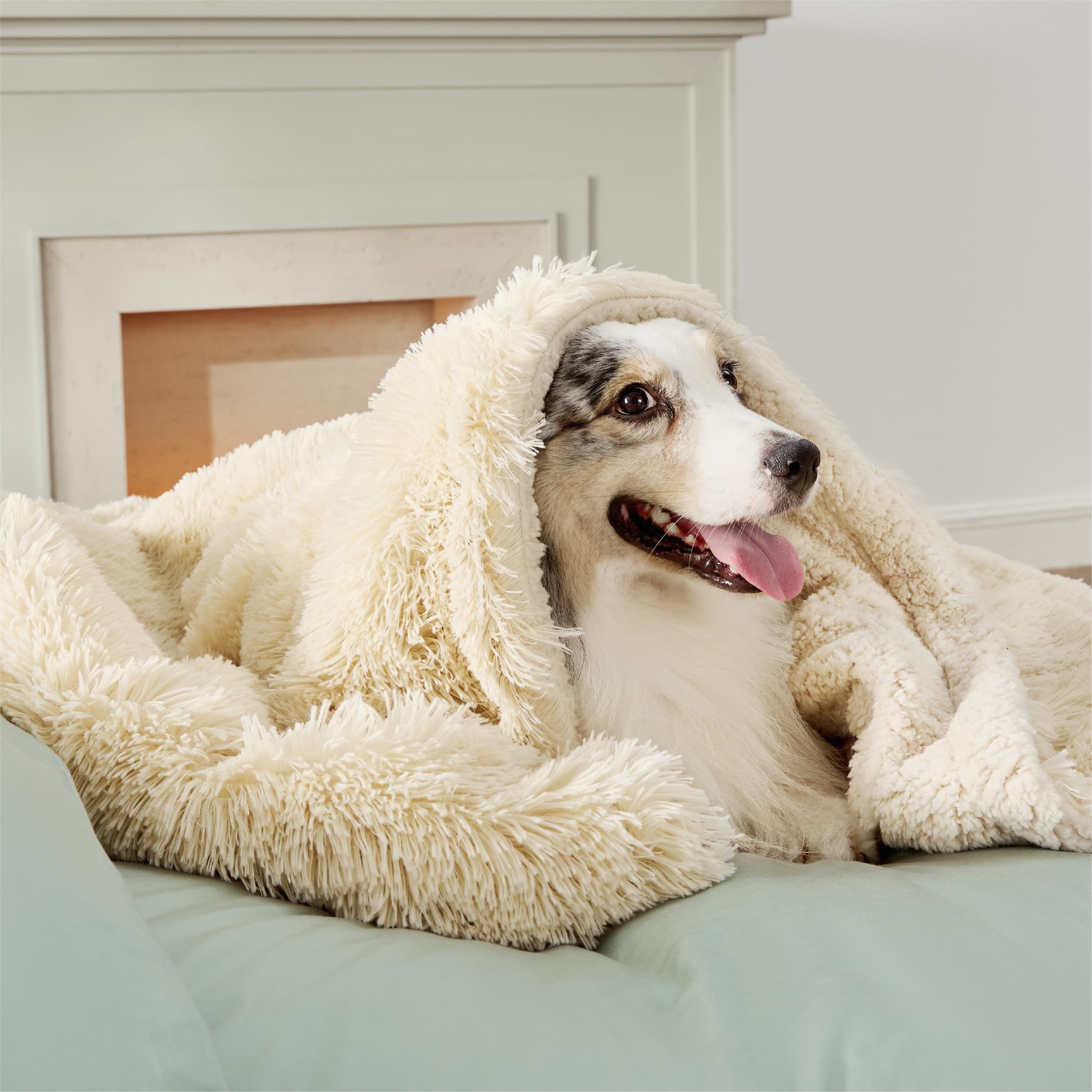 Bedsure waterproof dog blanket closeup with plush Sherpa fleece for cozy lounging.