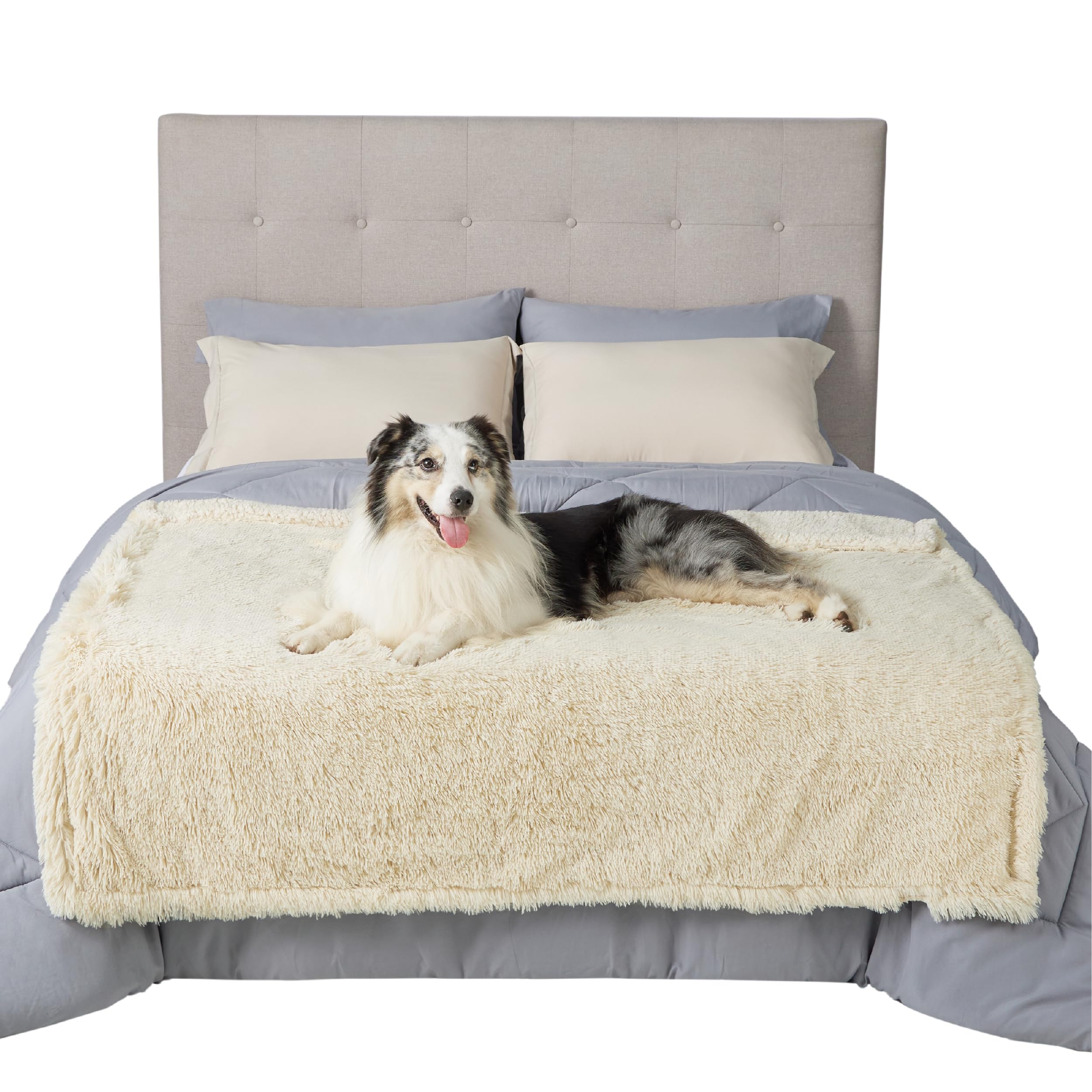 Bedsure blanket ready for travel keeps pets dry on outings.