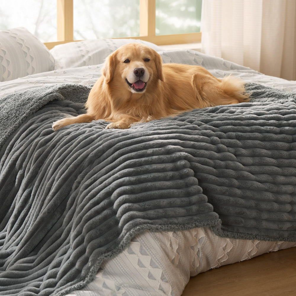 Bedsure travel-ready image shows portable blanket for trips and hotels