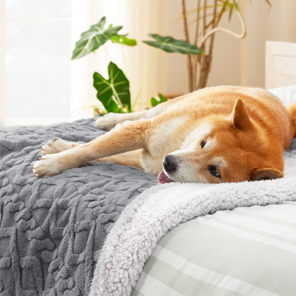 Bedsure velvet side closeup shows plush softness for pets
