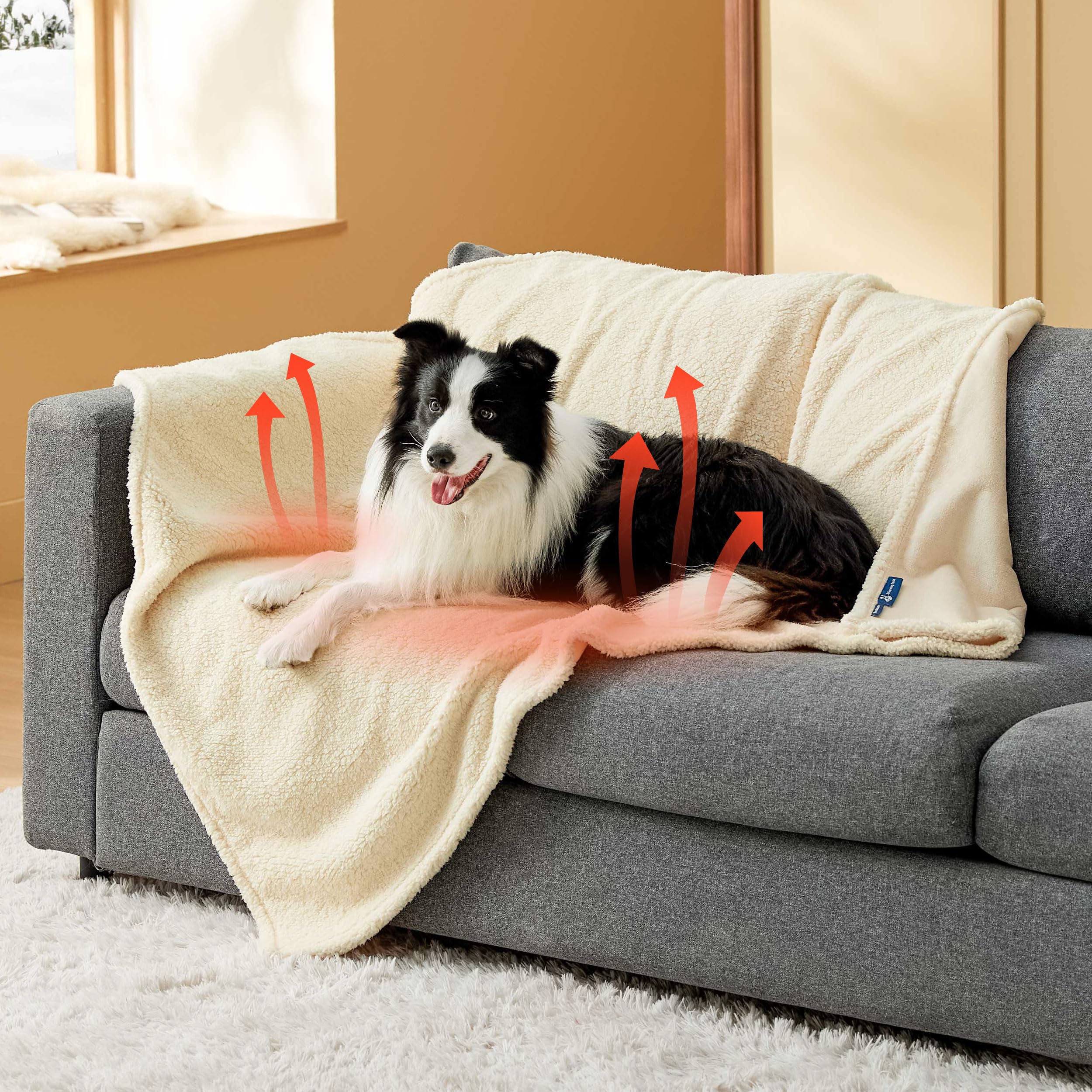 Bedsure XL 50x60 white blanket fits standard spaces for lounging and cuddling.