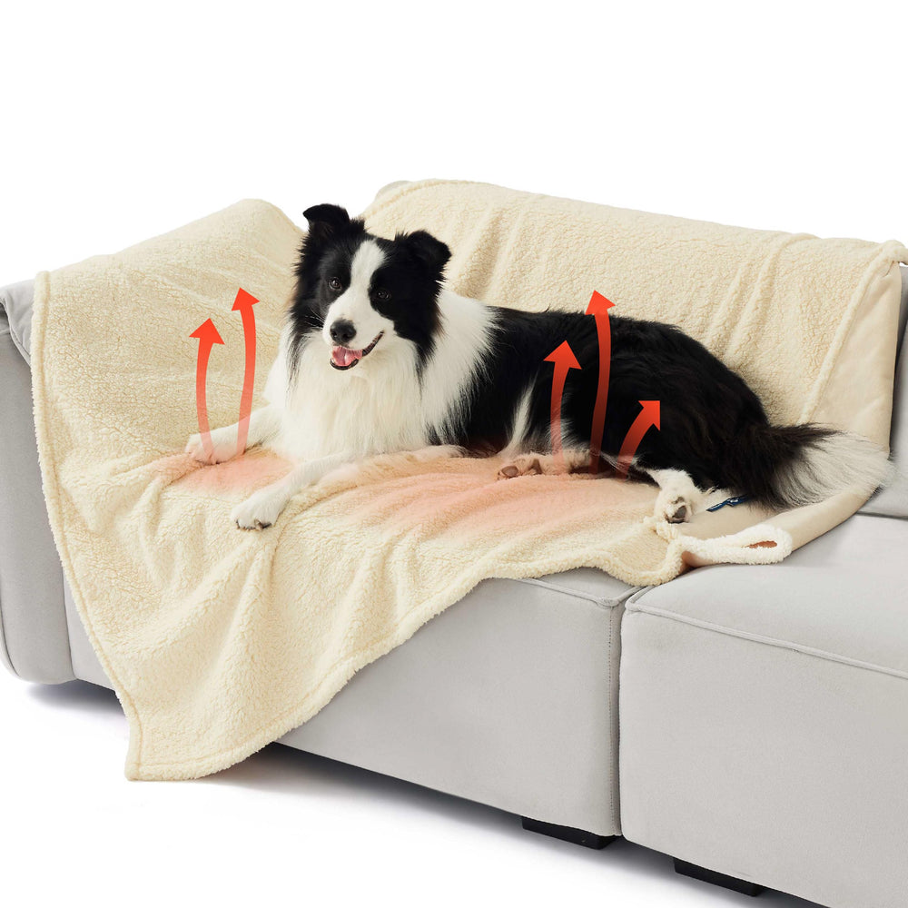 Bedsure XL blanket with Sherpa side offers cozy warmth for pets and people.