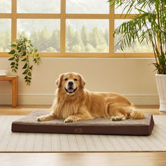 Bedsure XL dog bed front view shows low-profile design for large dogs
