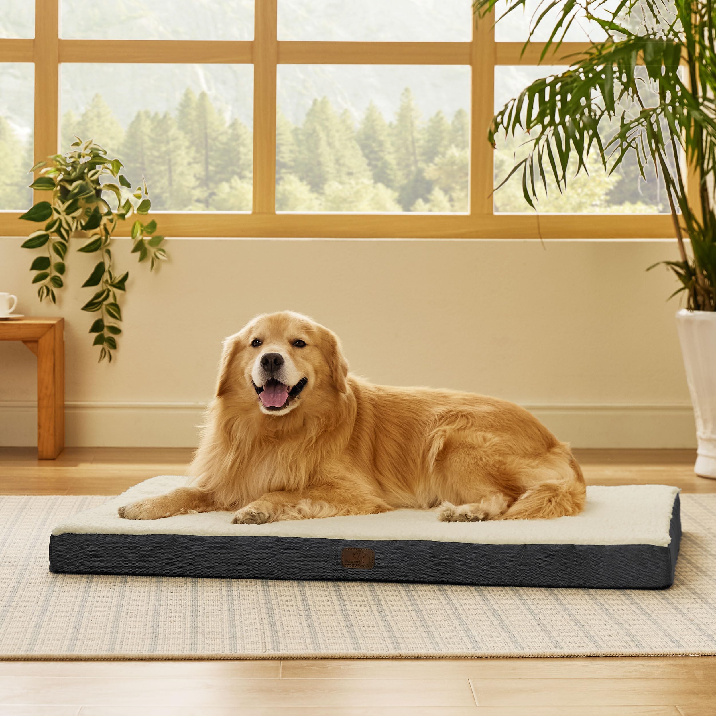 Bedsure XL dog bed lint tip cleaning guidance before washing