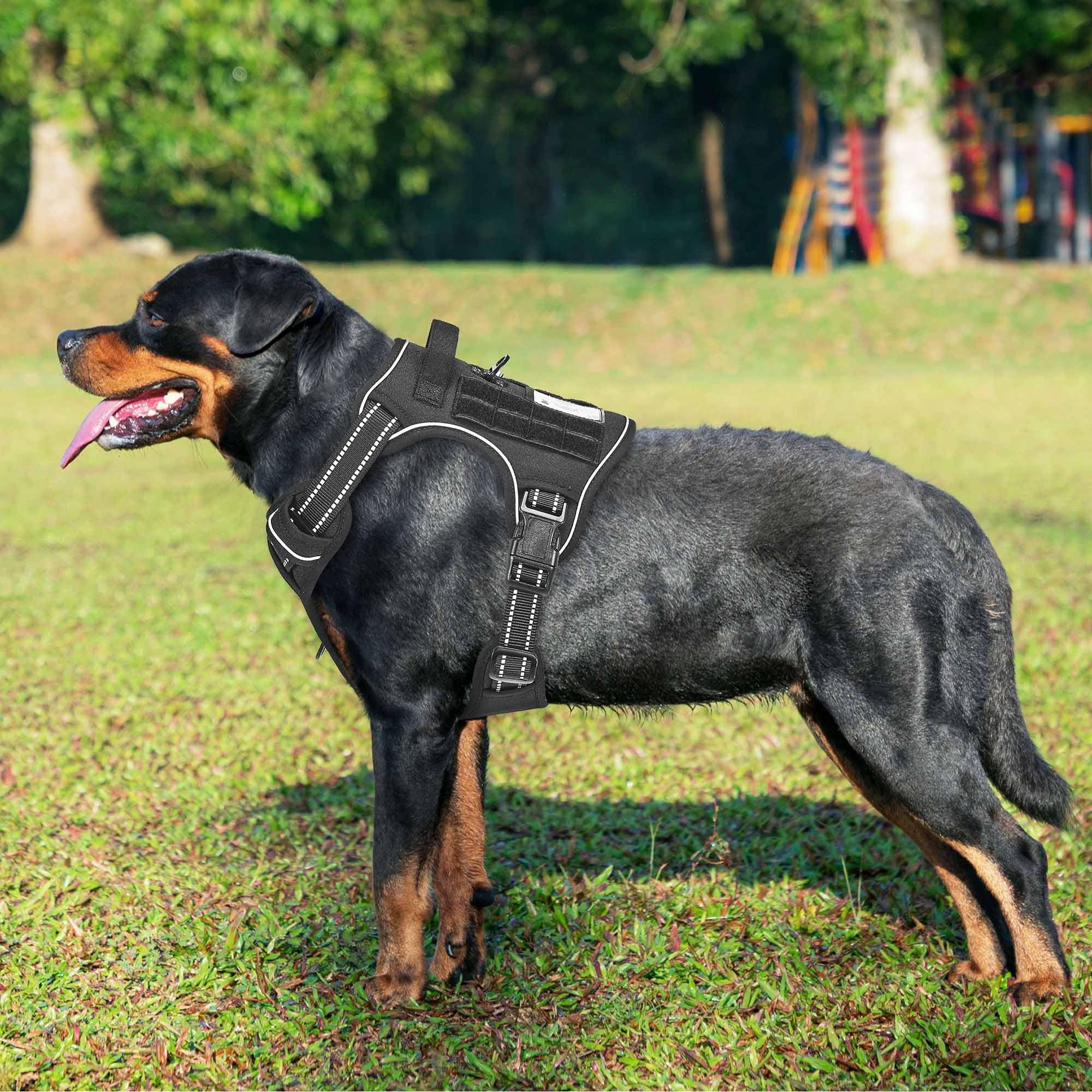 Beebiepet Heavy Duty Harness back view showing reflective trim for visibility