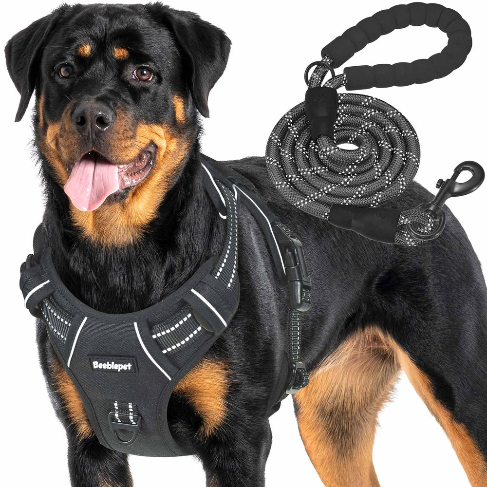 Beebiepet heavy-duty tactical harness, front view, demonstrates secure fit for large dogs during daily walks