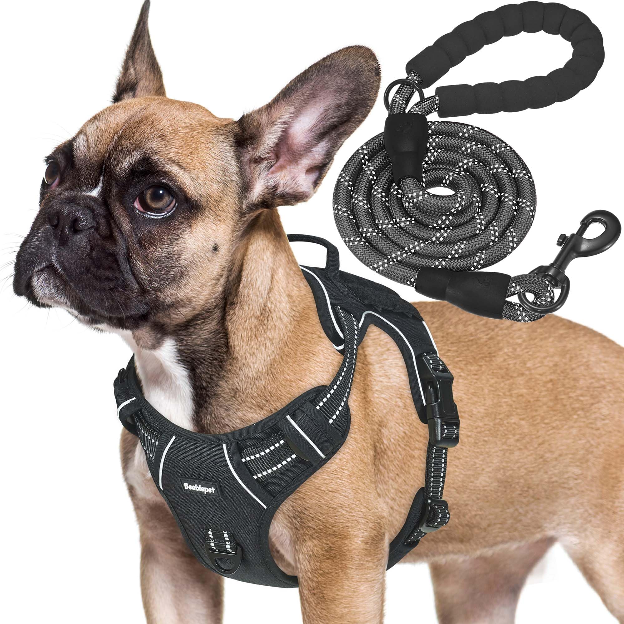 Beebiepet heavy-duty tactical harness on a medium dog, rugged outdoor fit.