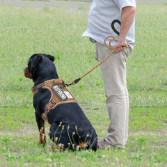 Beebiepet tactical harness molle setup side for gear attachment