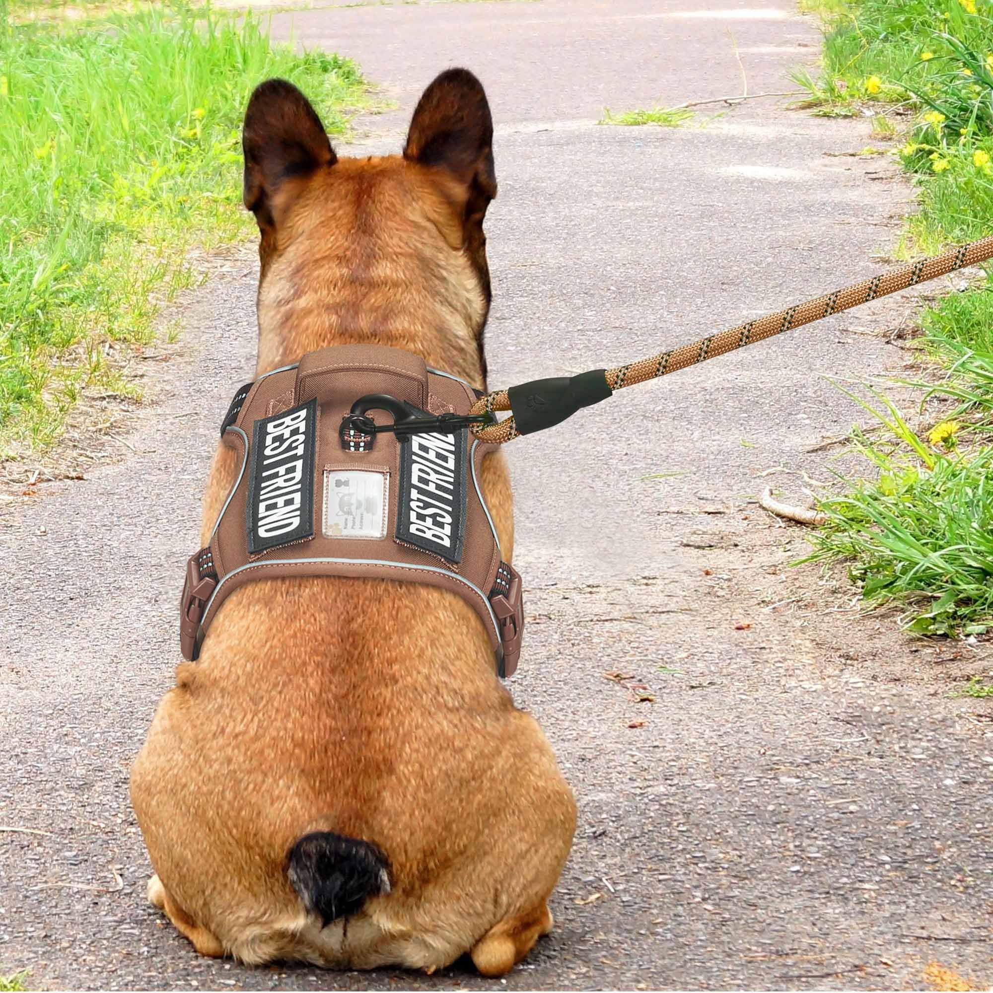 Beebiepet heavy-duty tactical harness chest buckles open for easy on and off.